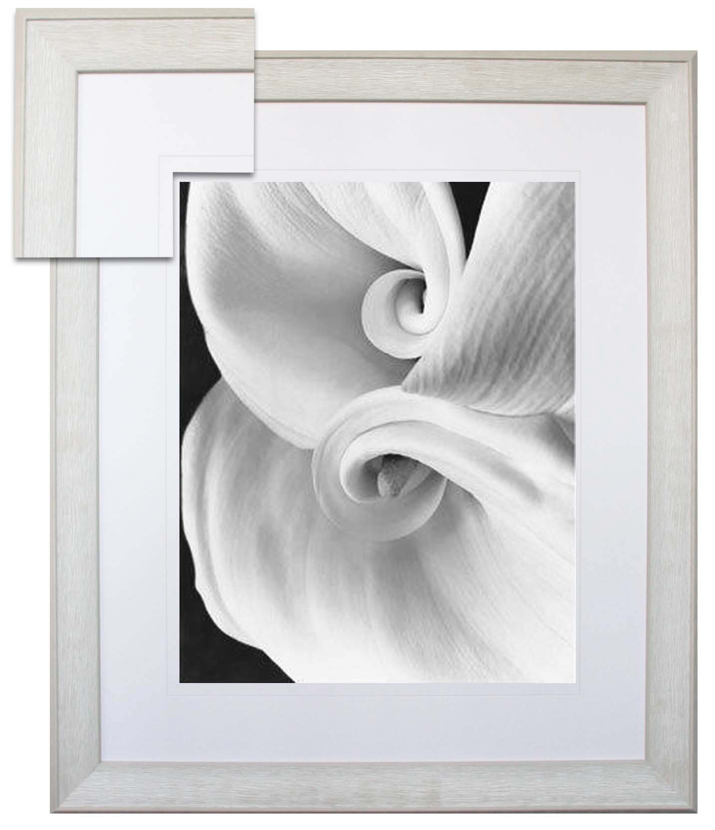 FP200 Wall décor art framed print floral light grey frame